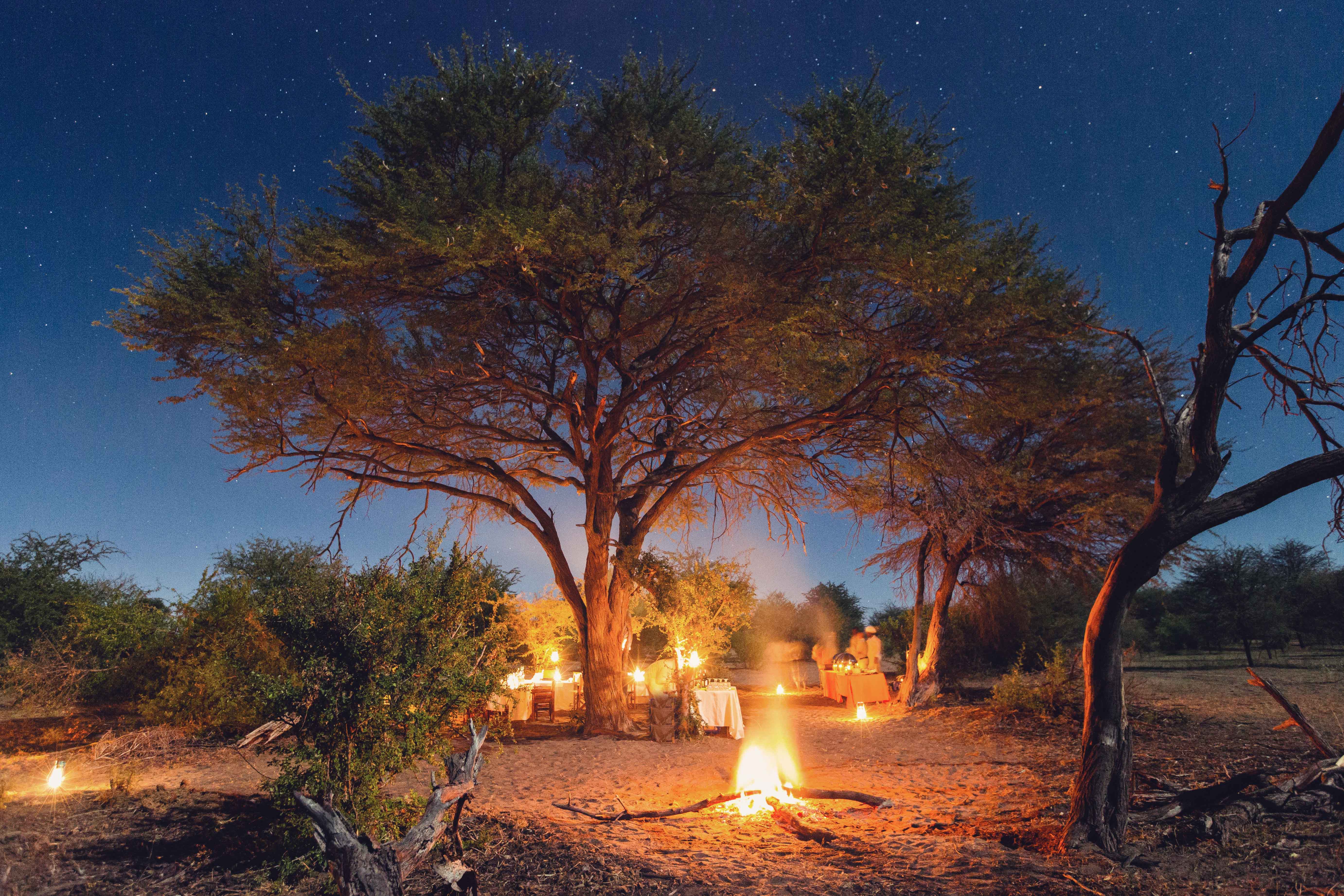 Leroo La Tau thumbnail 3