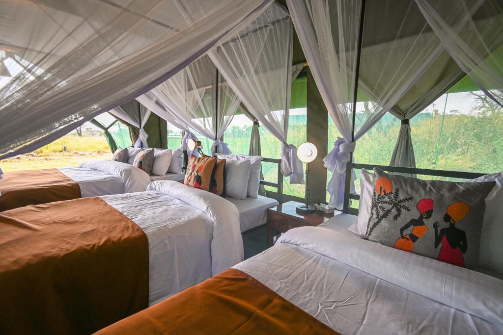 Little Moru Camp thumbnail 4