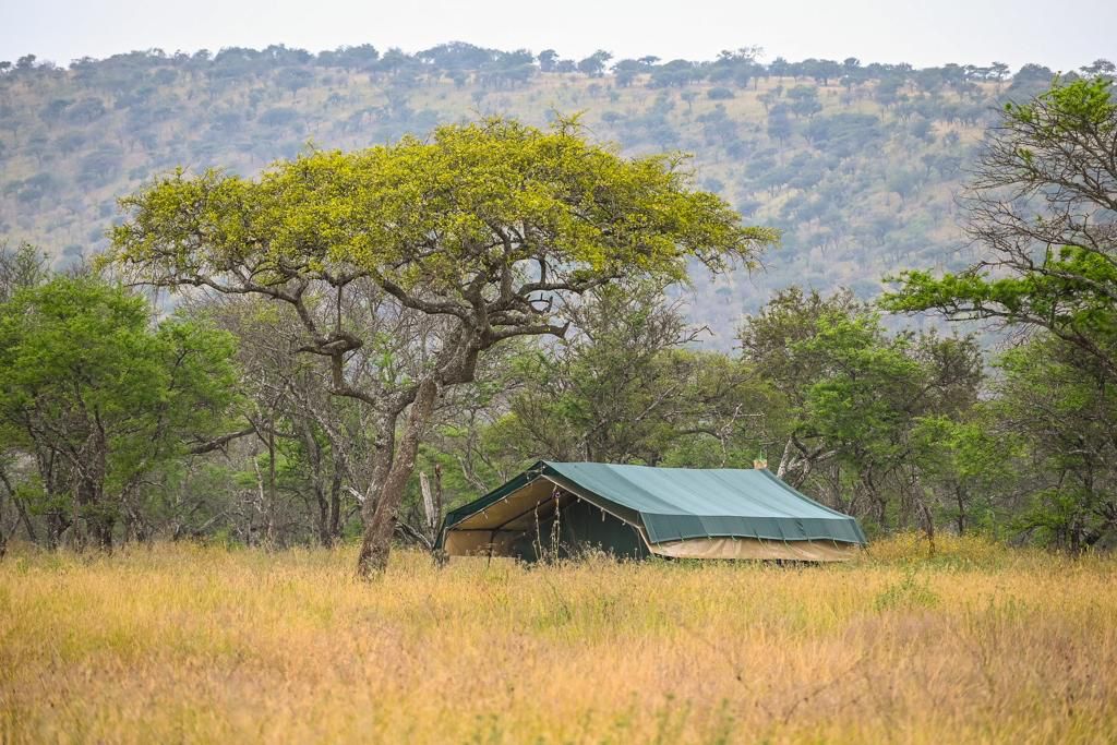 Little Moru Camp thumbnail 5