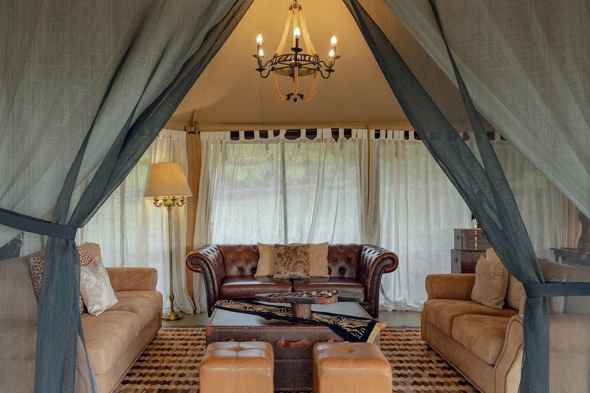 Tarangire Kuro Treetops Lodge thumbnail 5