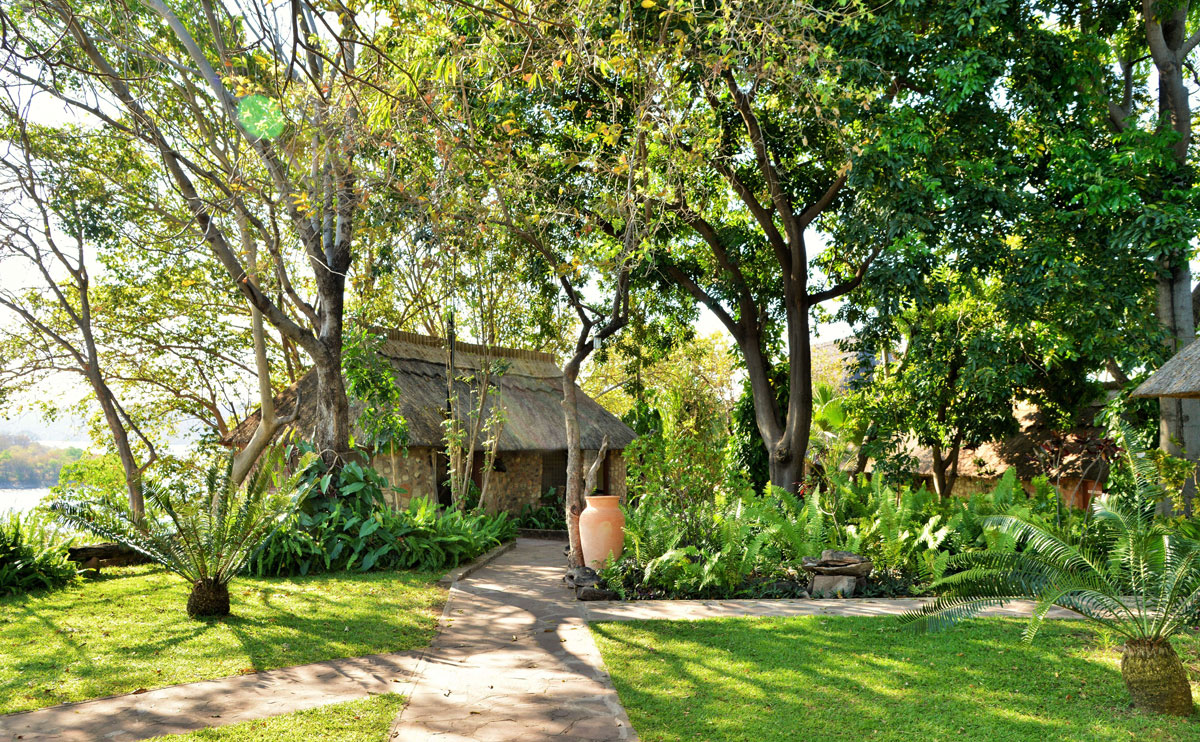 Masumu River Lodge thumbnail 2