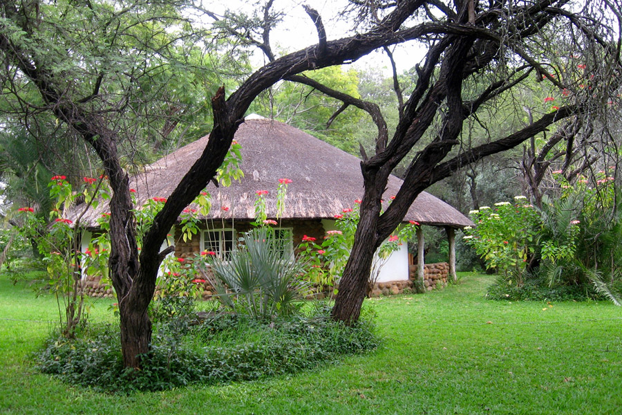 Makutsi thumbnail 6