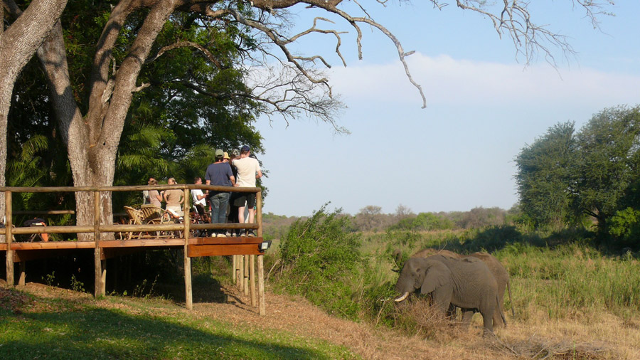 Makutsi thumbnail 4