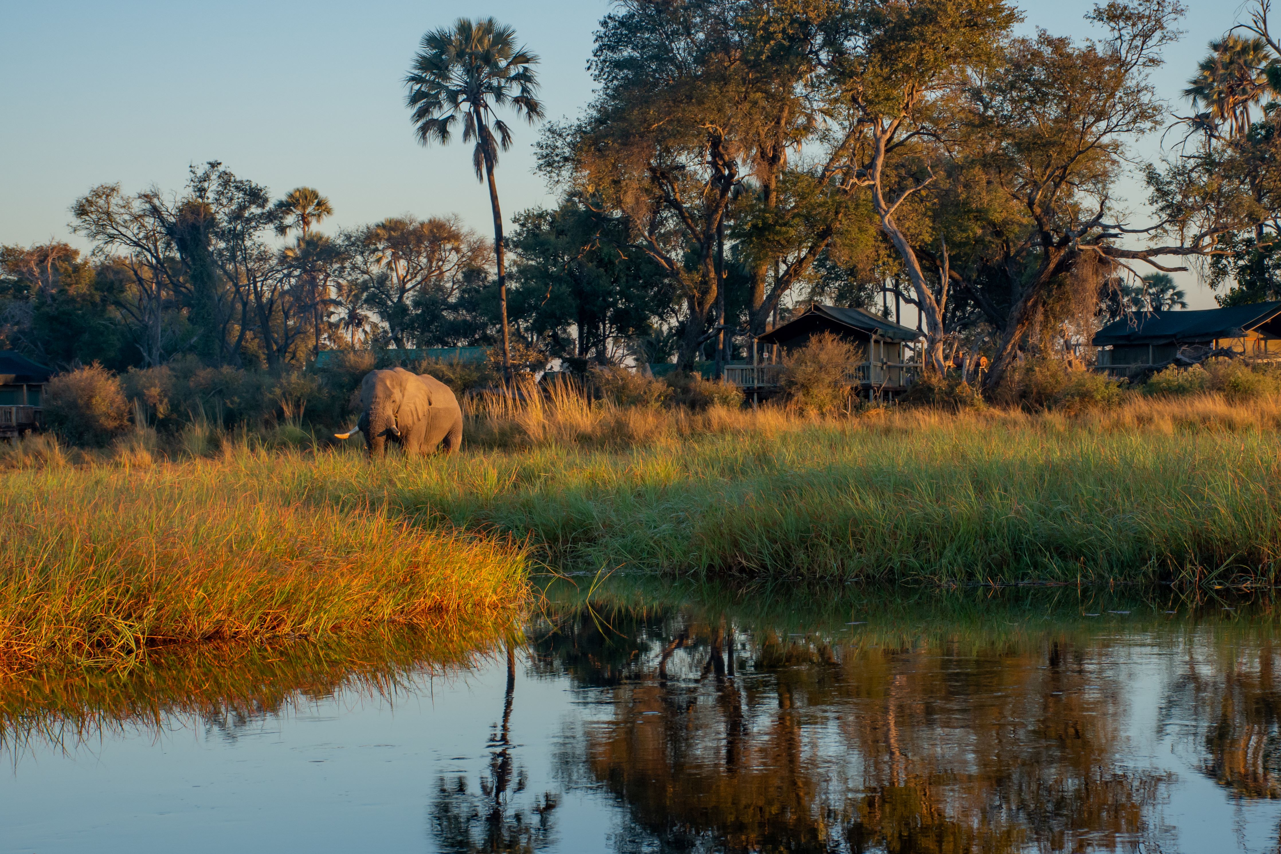 Moremi Crossing
