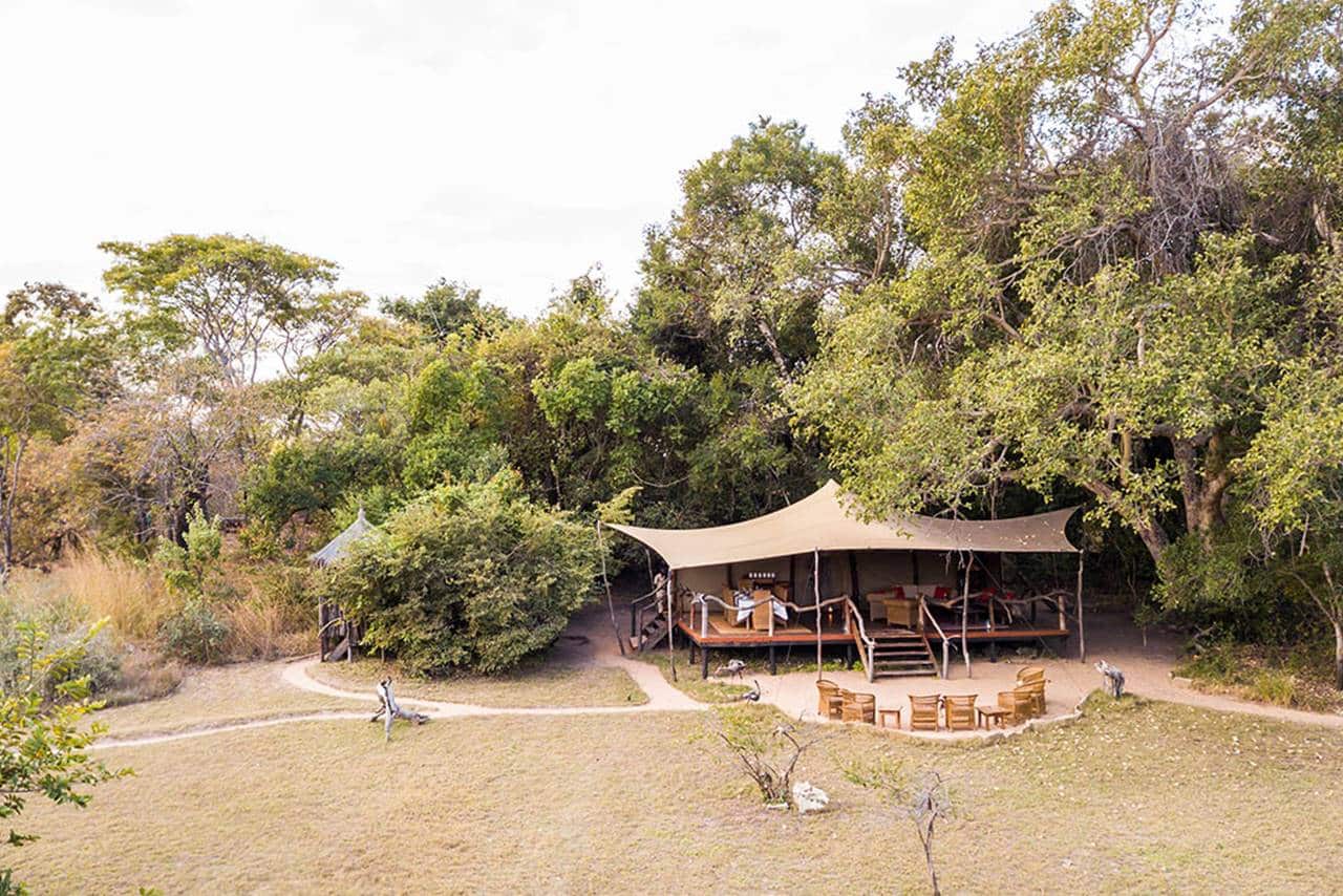 Fig Tree Bush Camp
