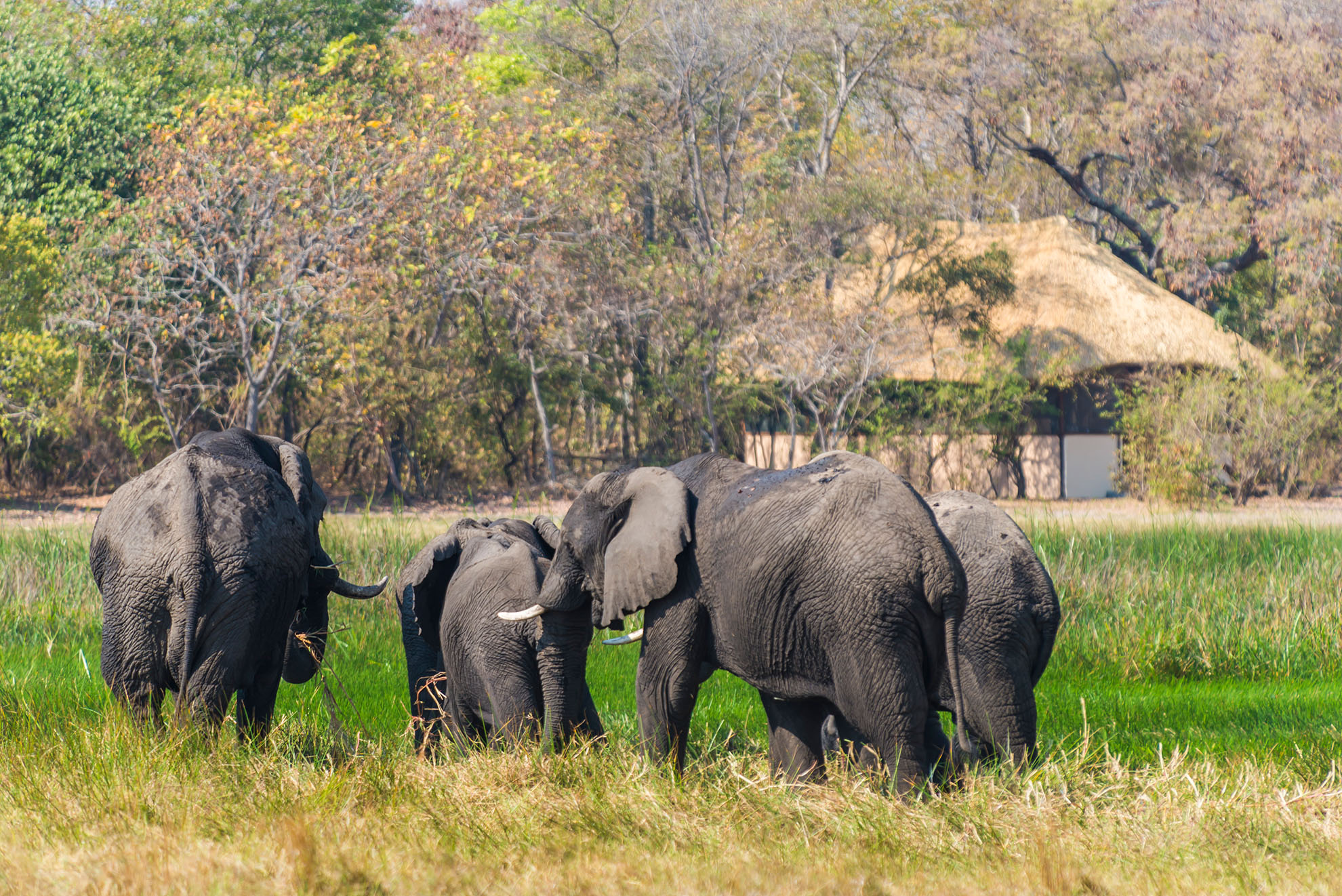 Nanzhila - Plains Camp thumbnail 5