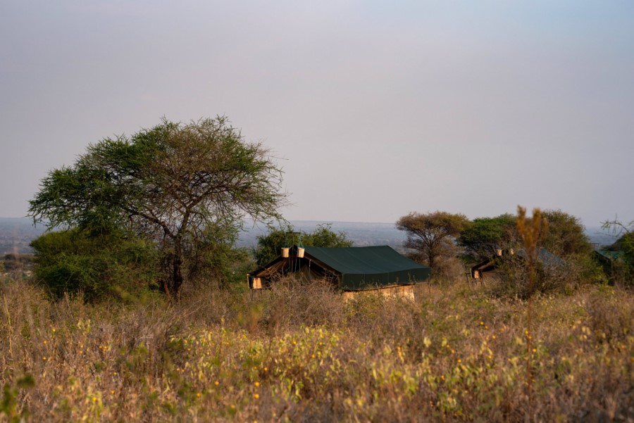 Nyikani Camp Tarangire