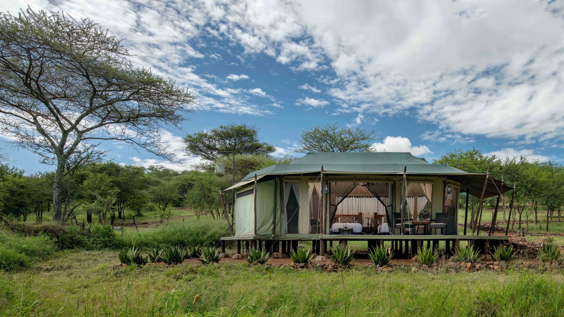 Ole Serai Luxury Camp - Moru Kopjes