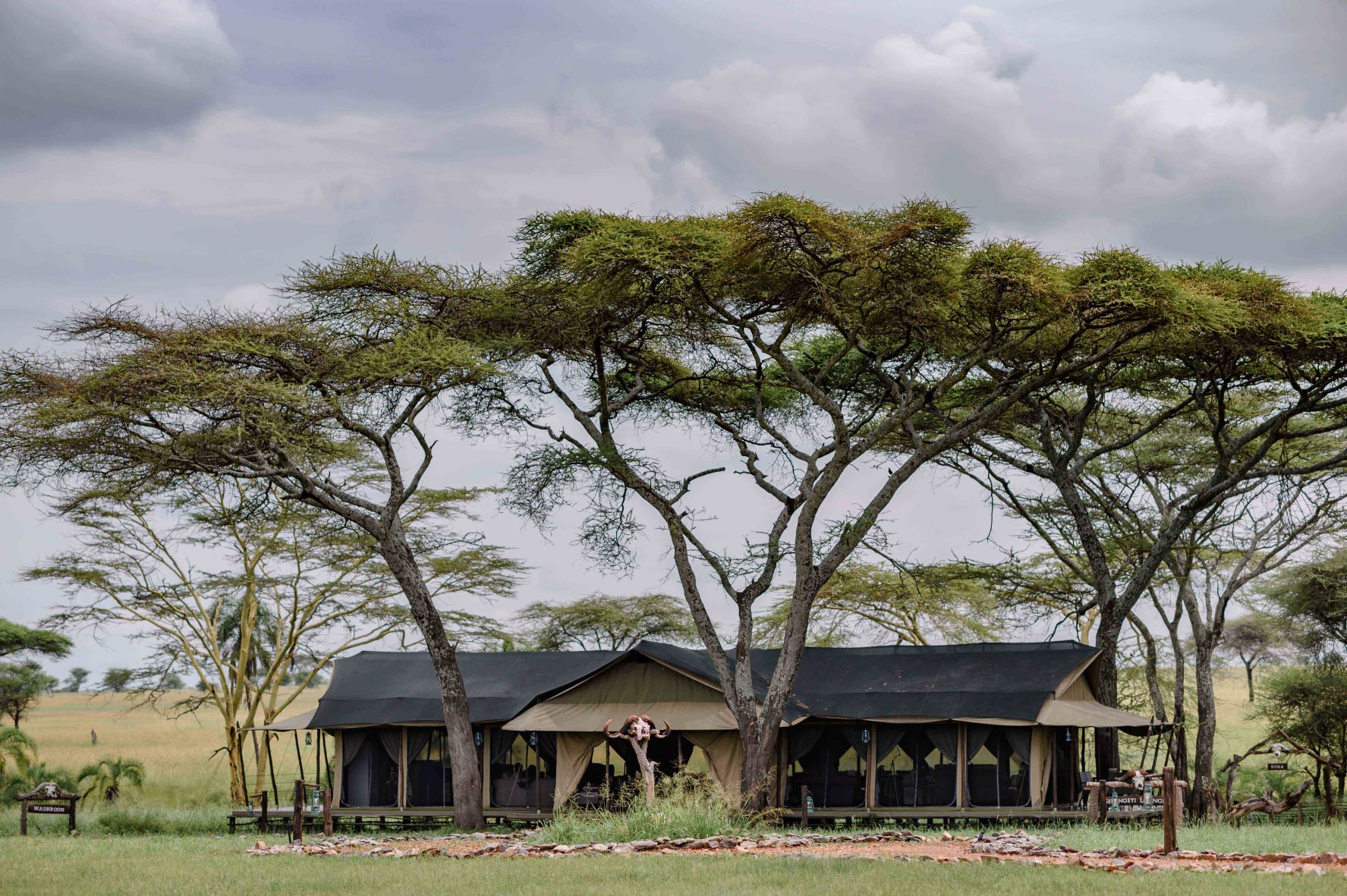 Ole Serai Luxury Camp - Turner Springs thumbnail 3