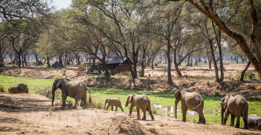 Old Mondoro thumbnail 4