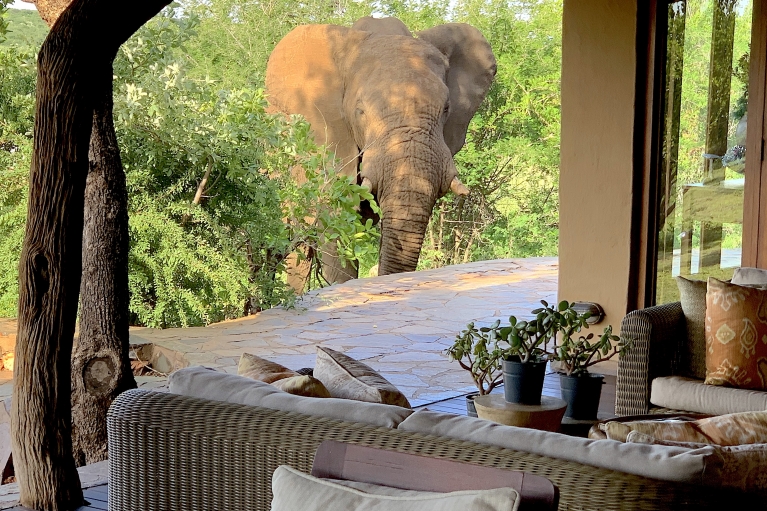 Rhulani Safari Lodge thumbnail 5