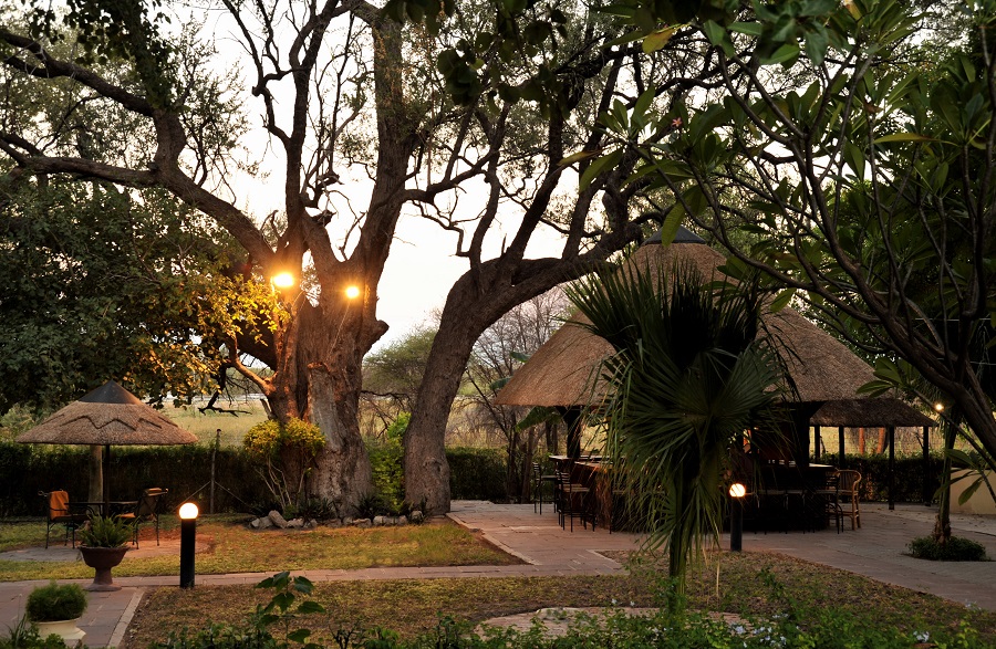 Cresta Riley's thumbnail 3