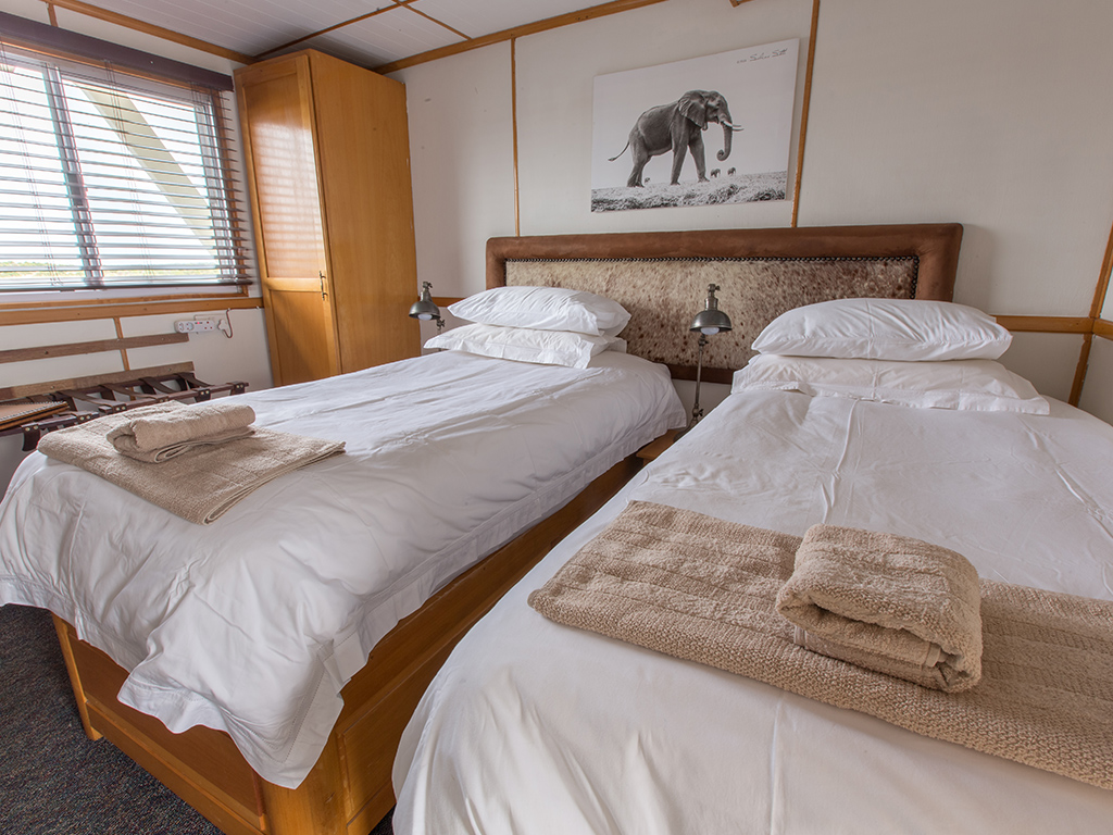 The Pangolin Voyager thumbnail 5