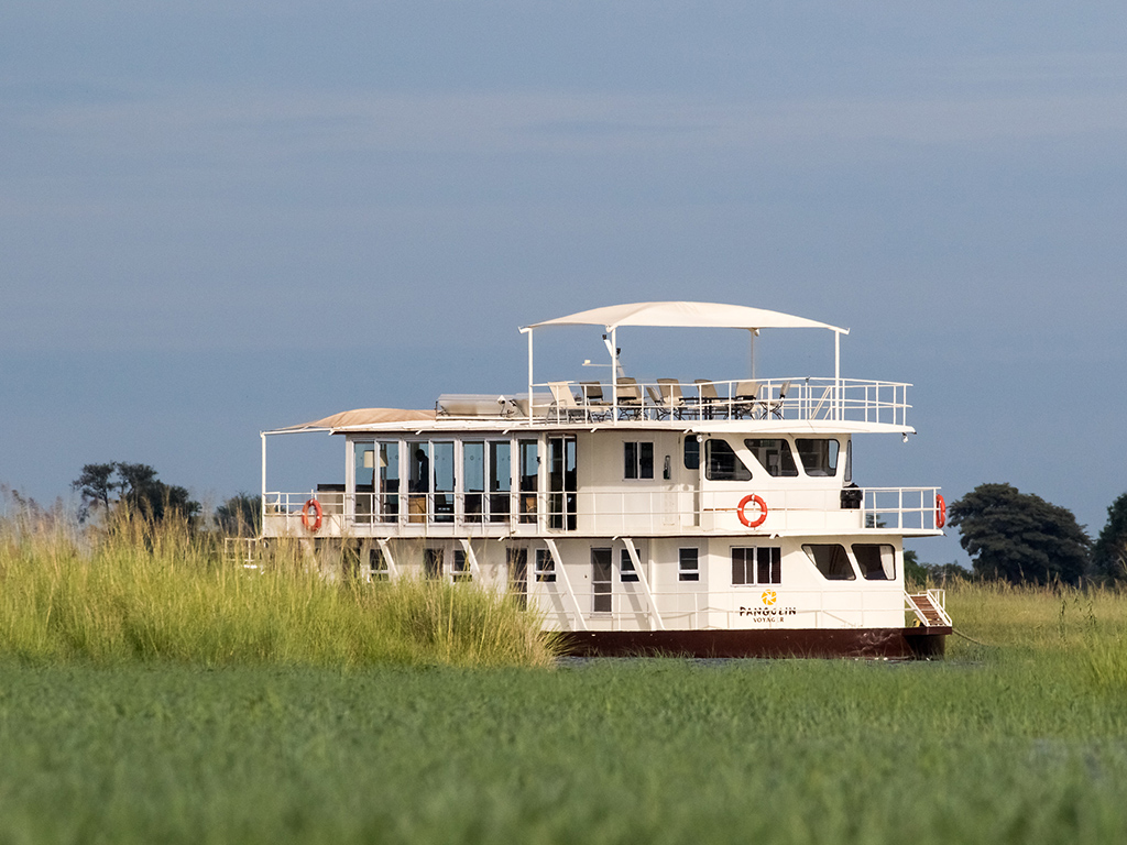 The Pangolin Voyager thumbnail 6