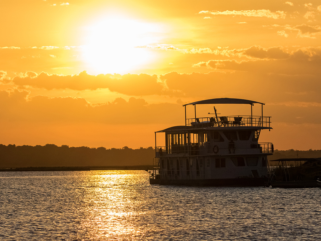 The Pangolin Voyager