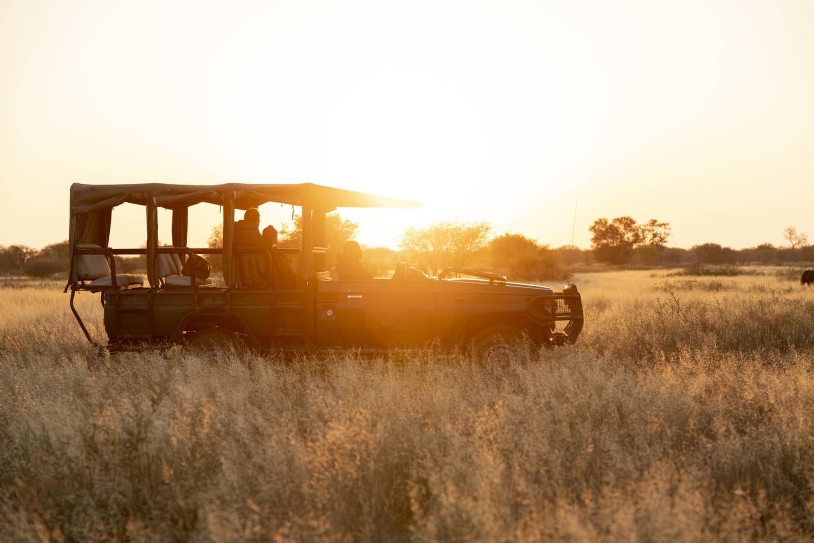 Planet Baobab Pans Sleep Out thumbnail 11