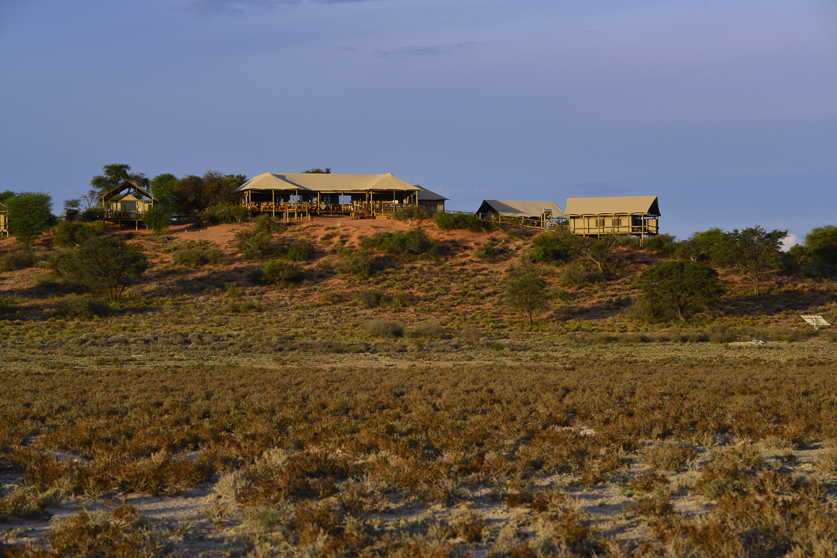 Ta Shebube Polentswa