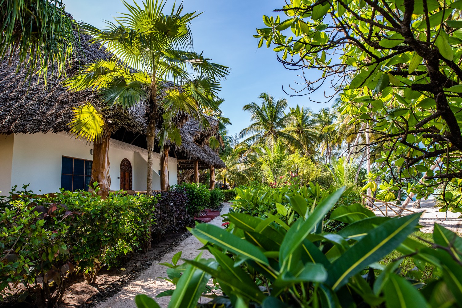 Pongwe Beach Hotel thumbnail 2