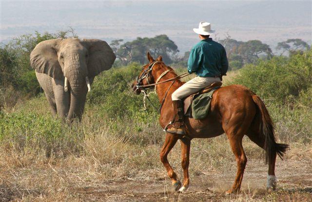 Sosian Lodge thumbnail 8