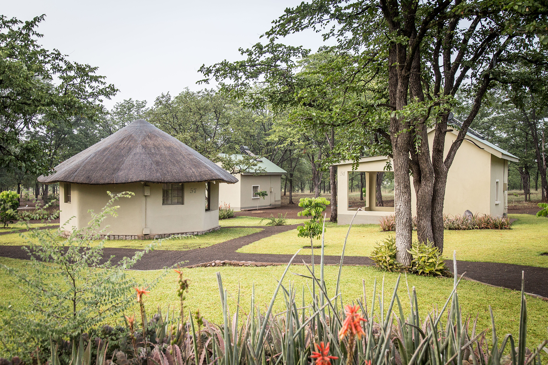 Robin's Camp thumbnail 3