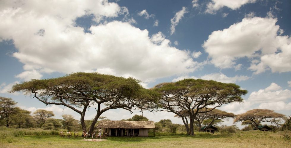 Serian's Serengeti Mobile Kusini thumbnail 4