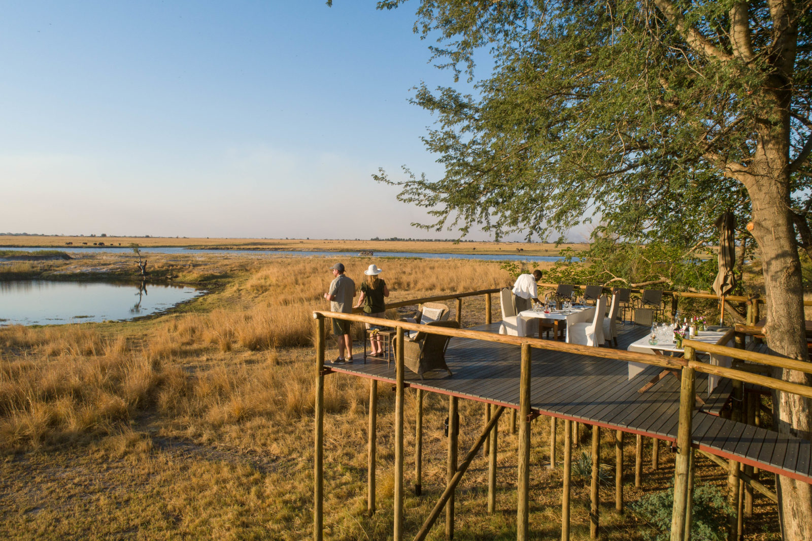 Chobe Savanna Lodge thumbnail 4