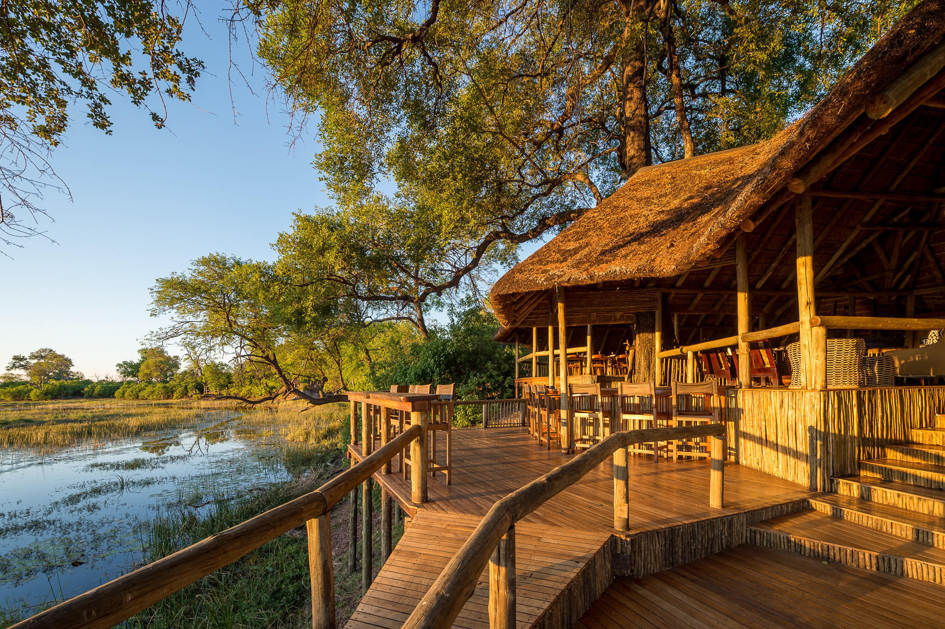 Wilderness Savuti