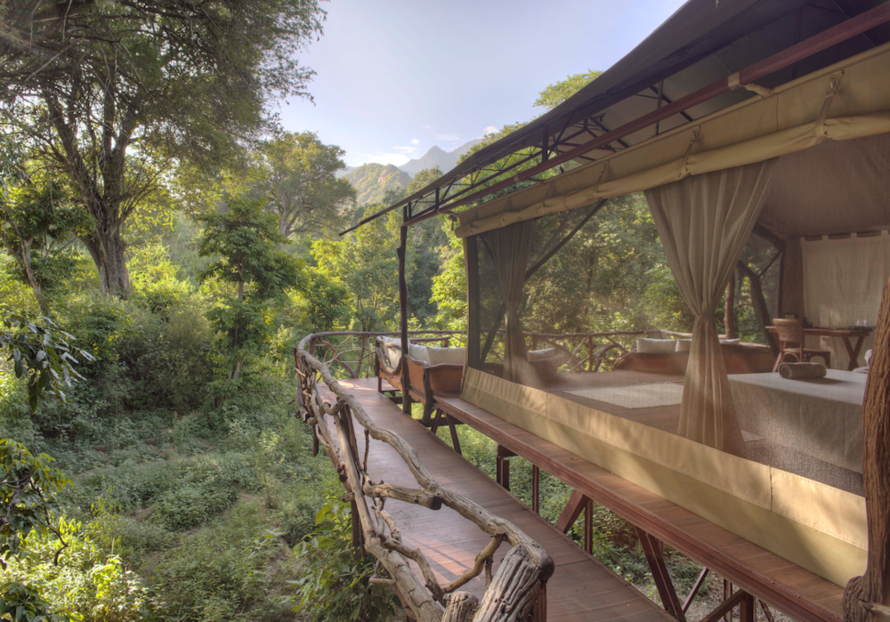 Sarara Treehouses thumbnail 5