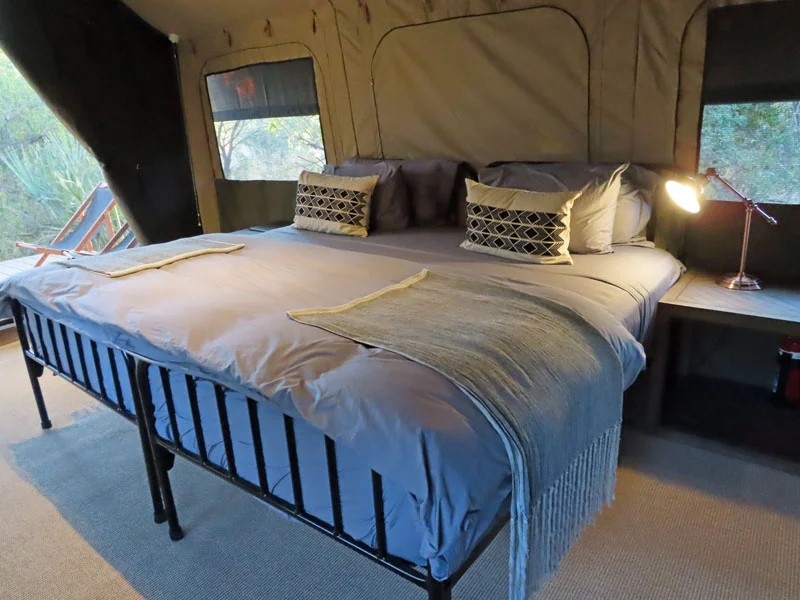 Shokomoka Safari Lodge thumbnail 1