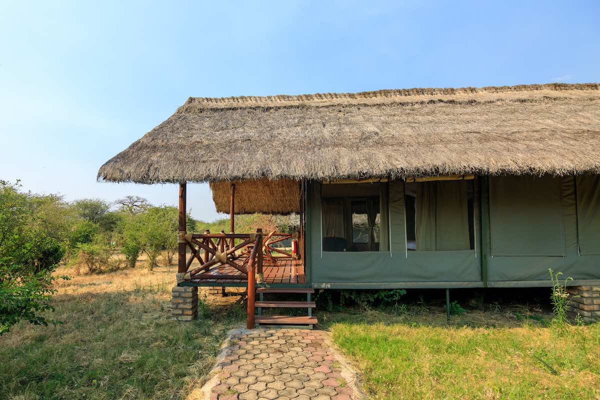 Tarangire Simba Lodge thumbnail 2