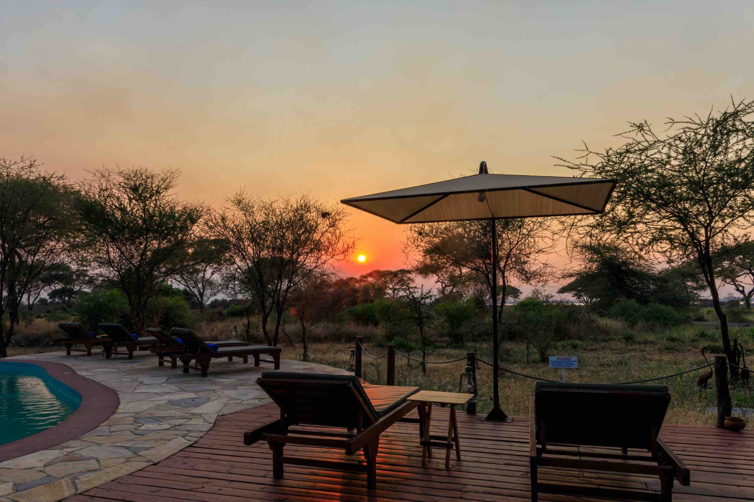 Tarangire Simba Lodge thumbnail 3