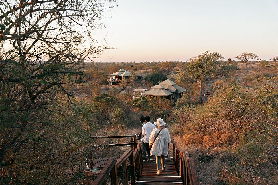Simbavati Hilltop Lodge thumbnail 4