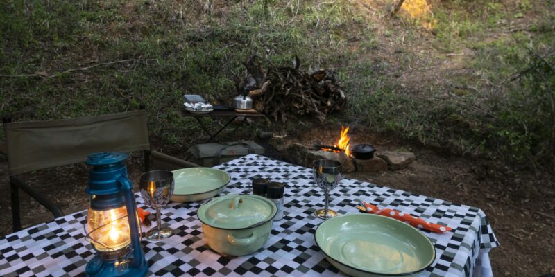 Bellevue Forest Reserve - Stargazer Camp thumbnail 6