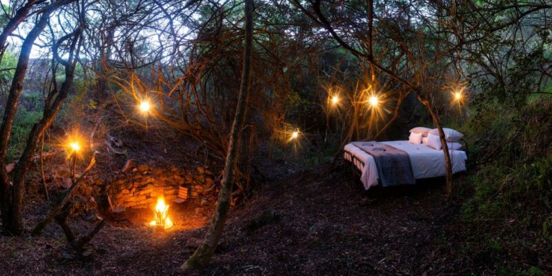 Bellevue Forest Reserve - Stargazer Camp