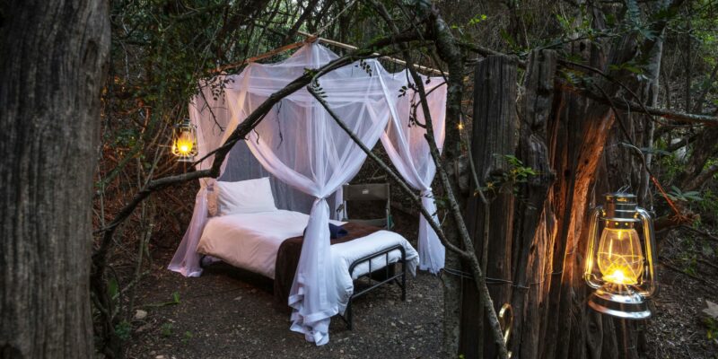 Bellevue Forest Reserve - Stargazer Camp thumbnail 3