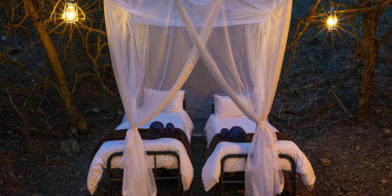 Bellevue Forest Reserve - Stargazer Camp thumbnail 2