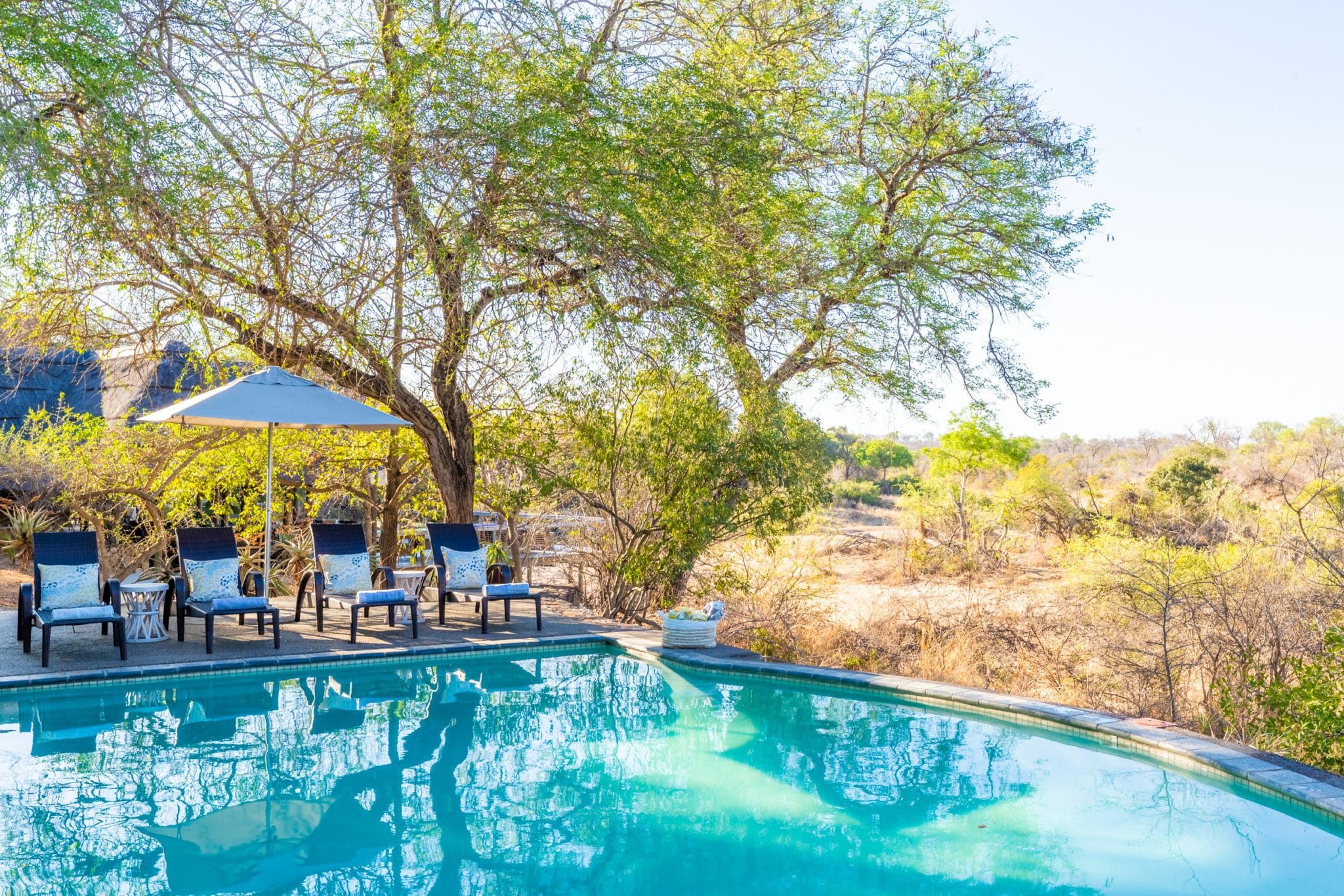 Thornybush Game Lodge