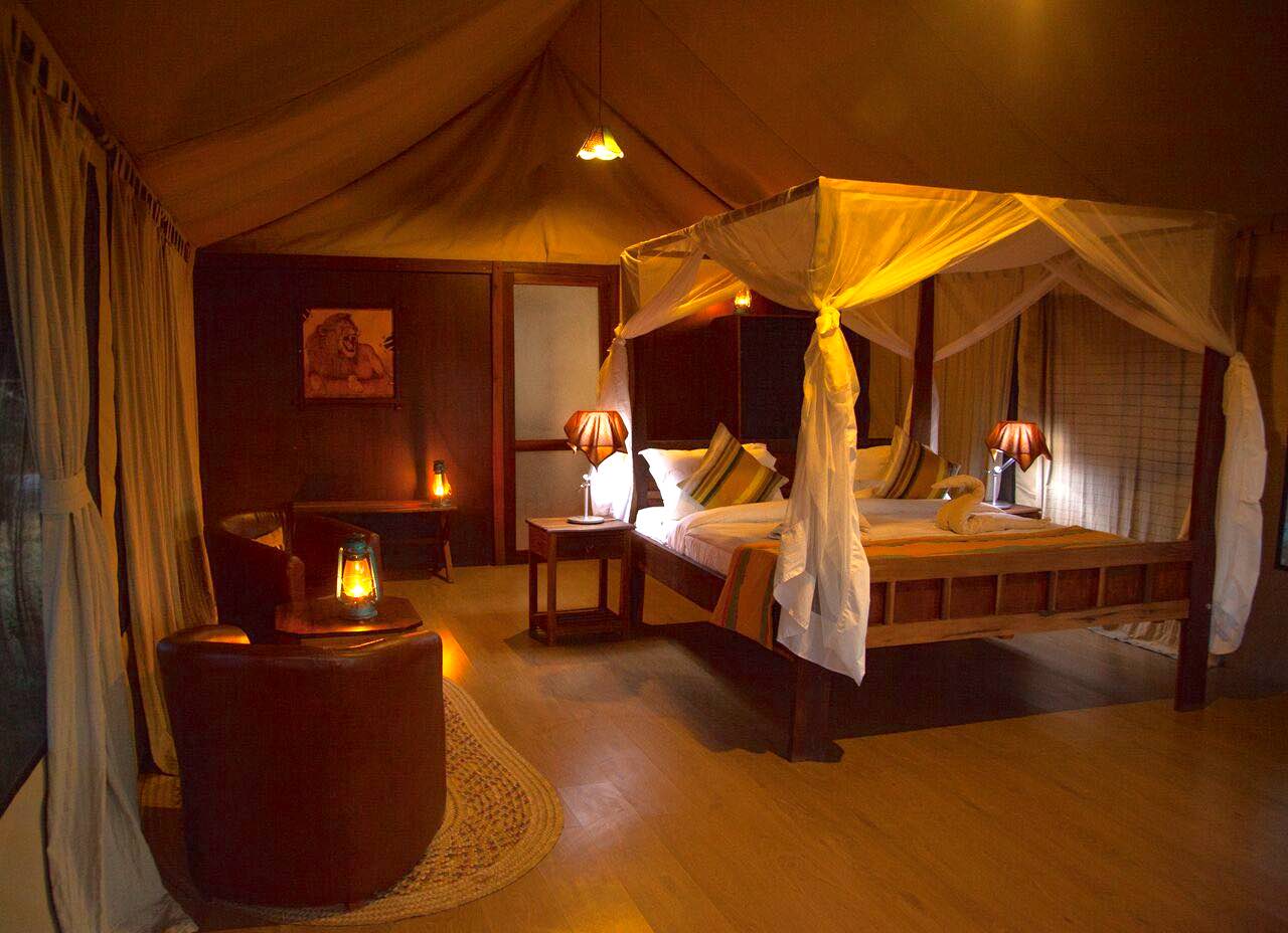 Tarangire Simba Lodge thumbnail 6