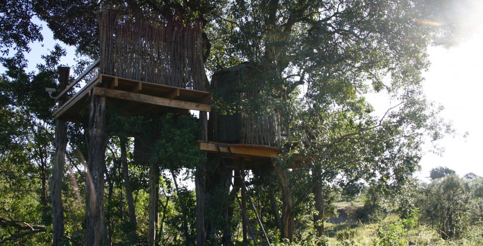 The Nest thumbnail 3