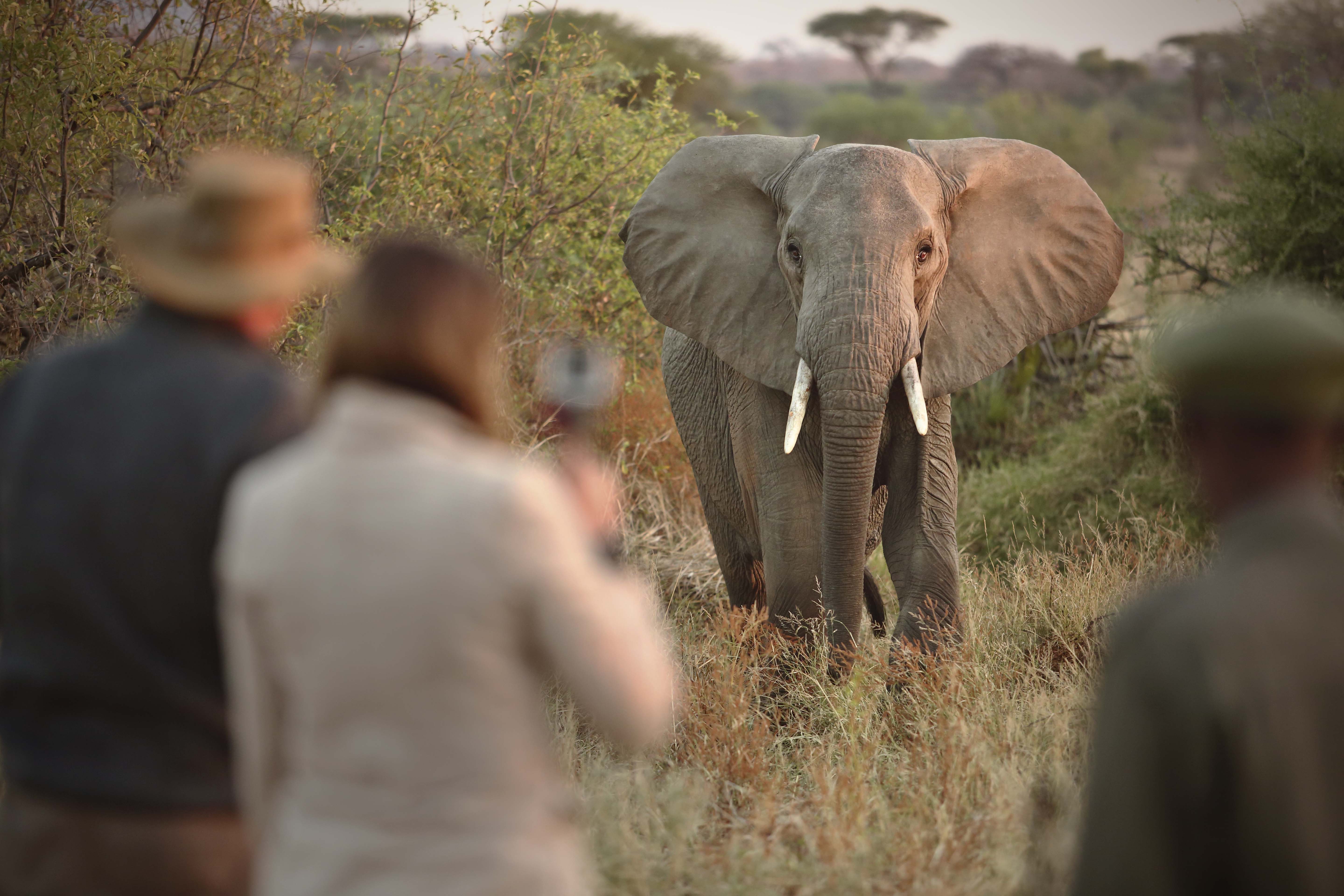 Kichaka Wild - River thumbnail 11