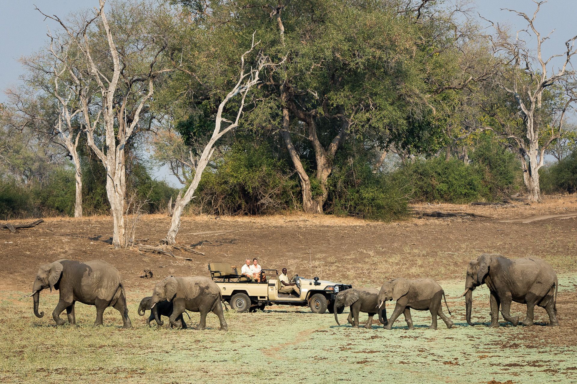 Nsefu Camp