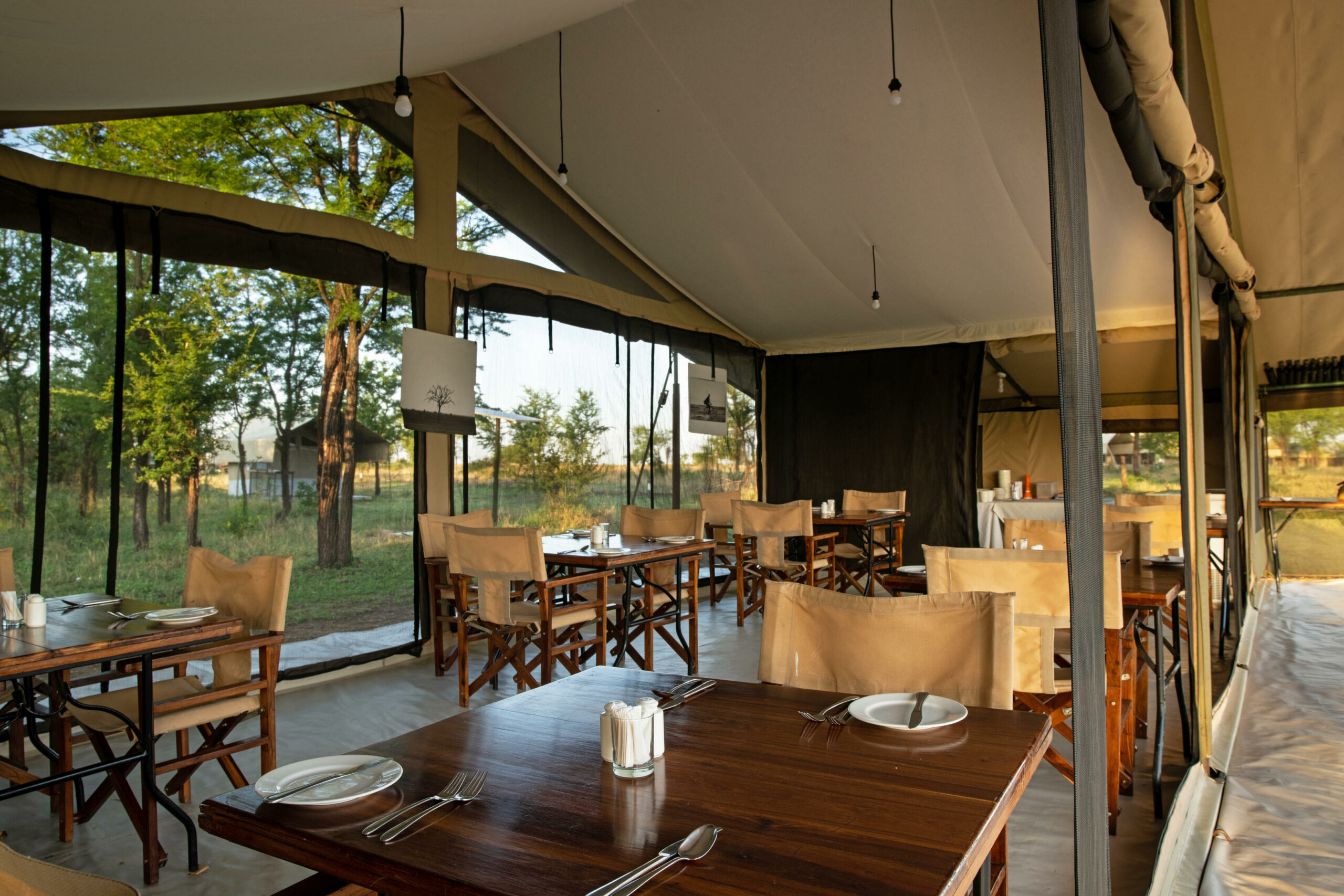 Tarangire Kati Kati Tented Camp thumbnail 5