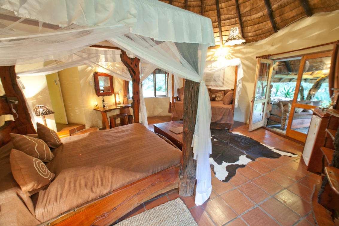 Ant's Nest thumbnail 6