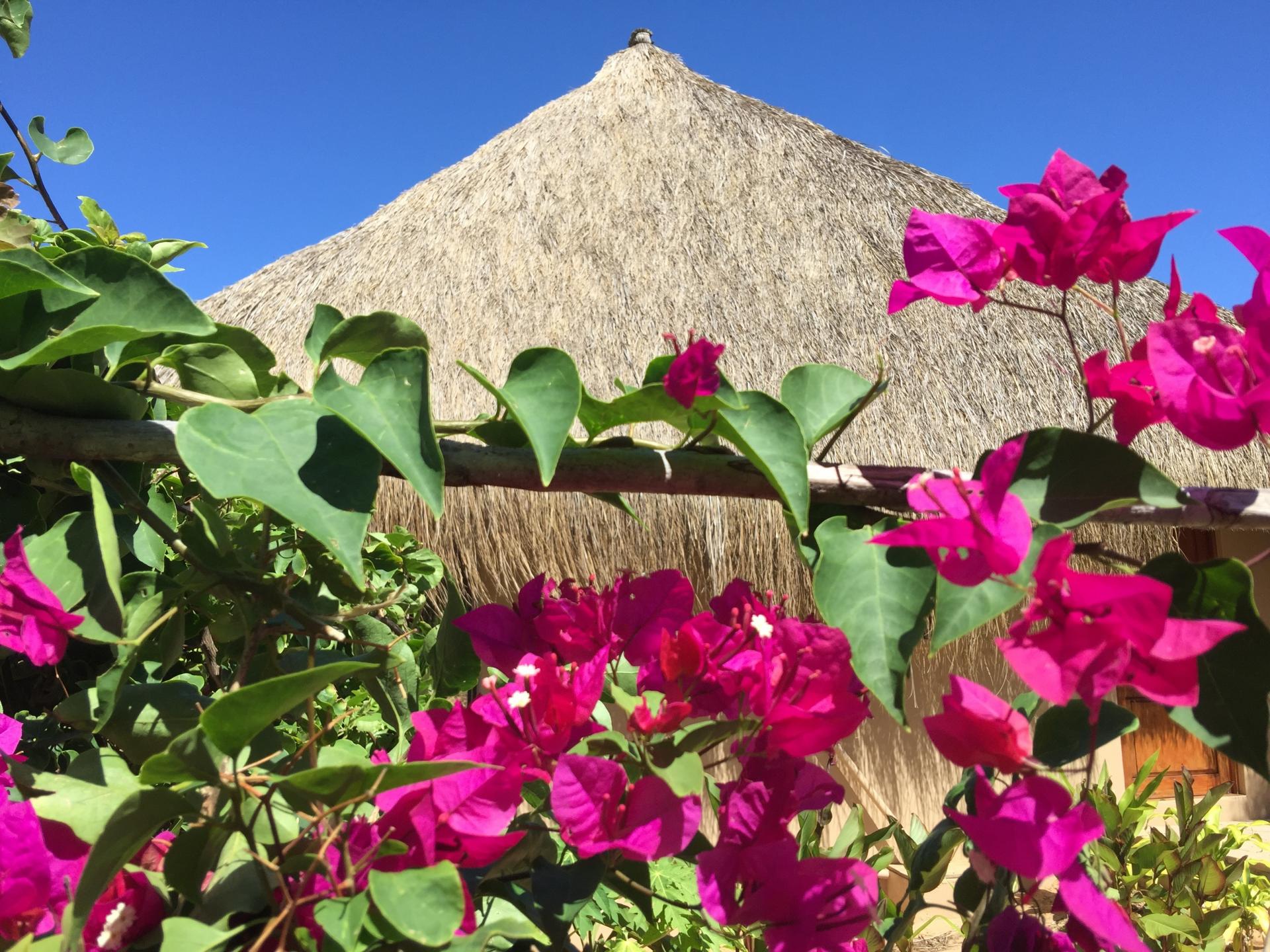 asDunas Lodge thumbnail 2