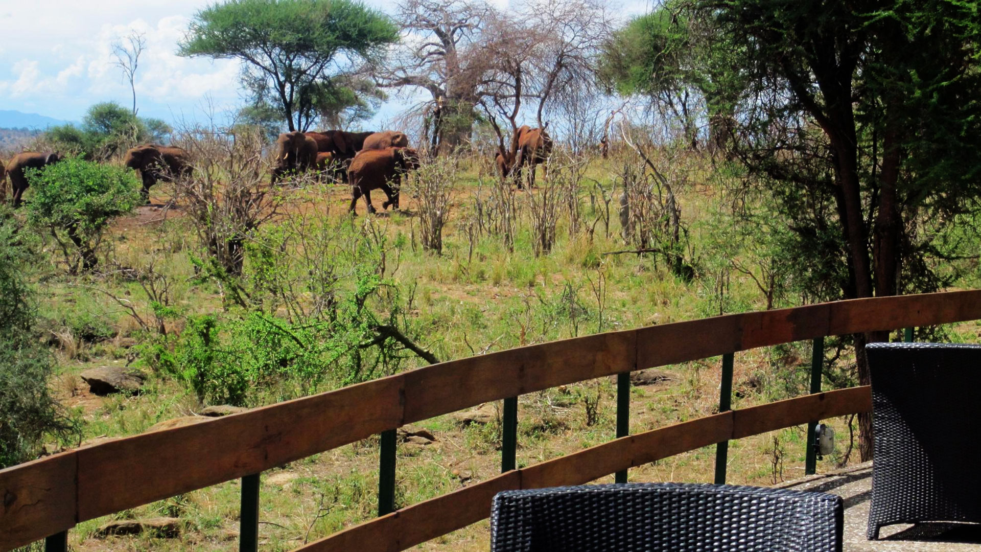 Tarangire Sopa Lodge thumbnail 6
