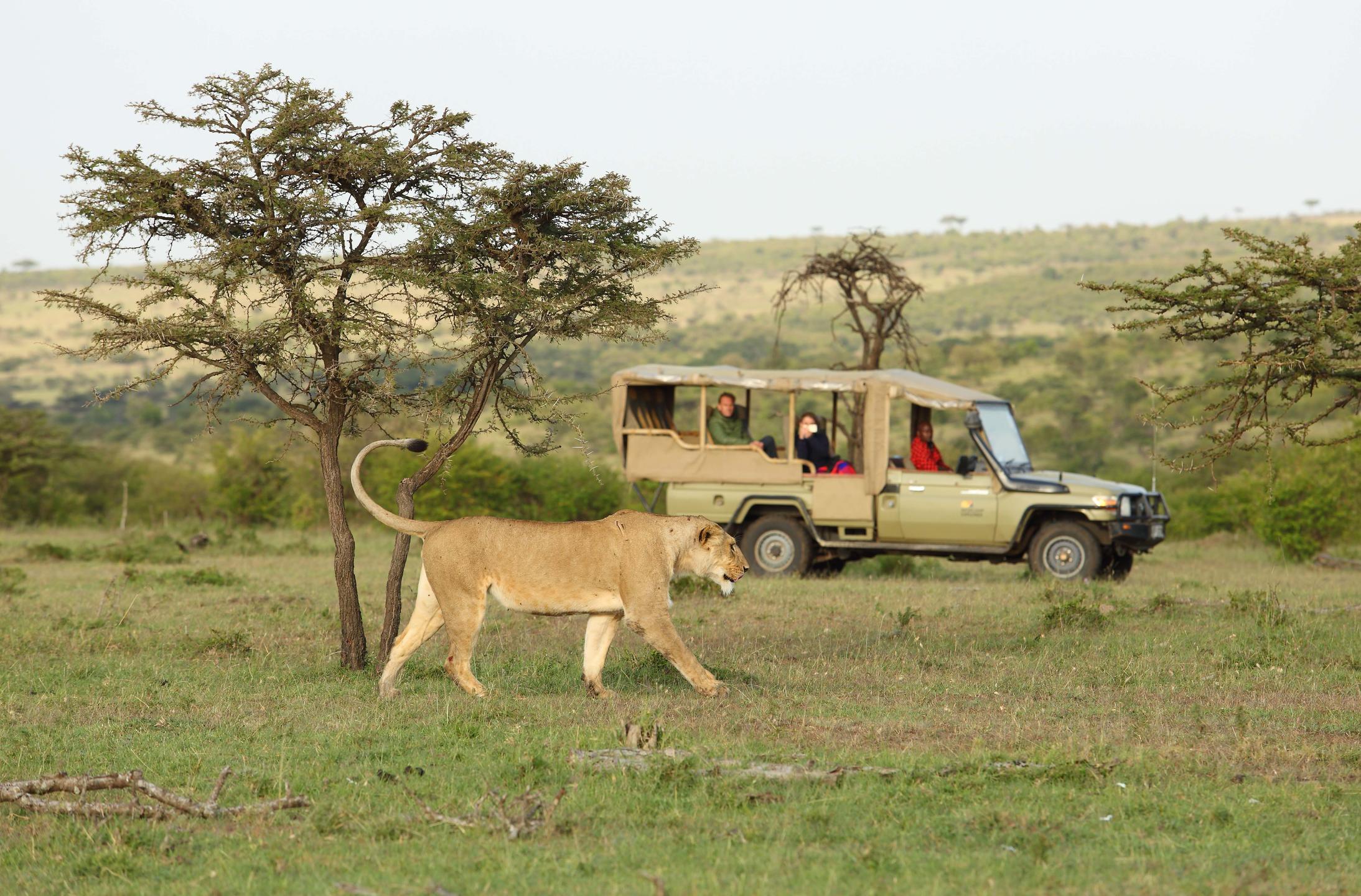 Saruni Leopard Hill thumbnail 5