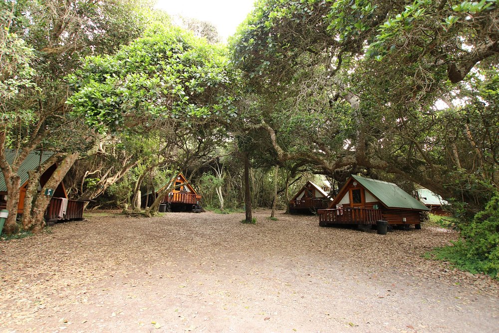 Storms River Mouth Rest Camp thumbnail 6