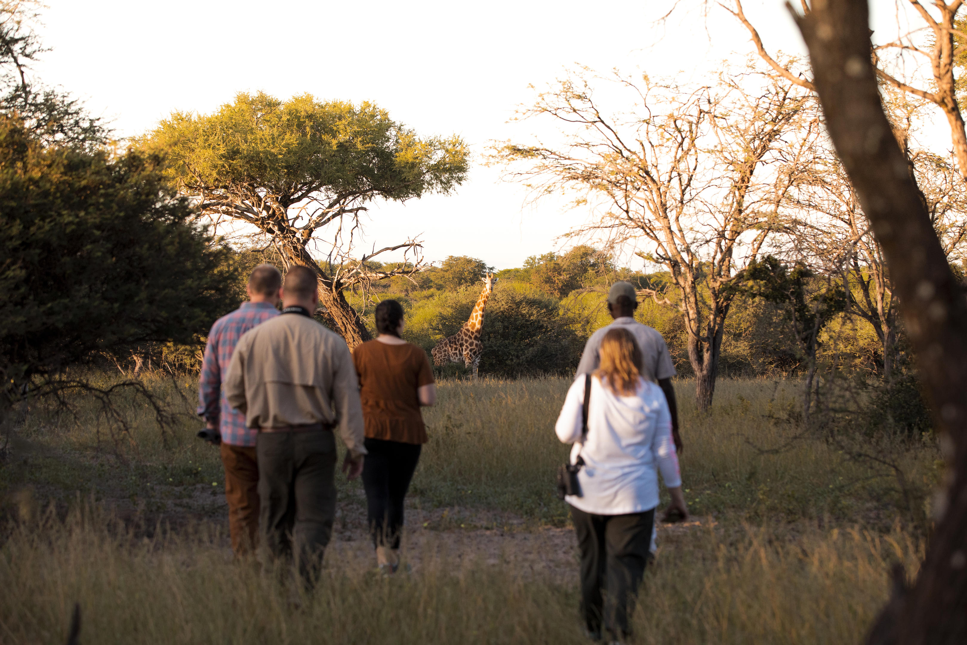 Thamo Telele thumbnail 10