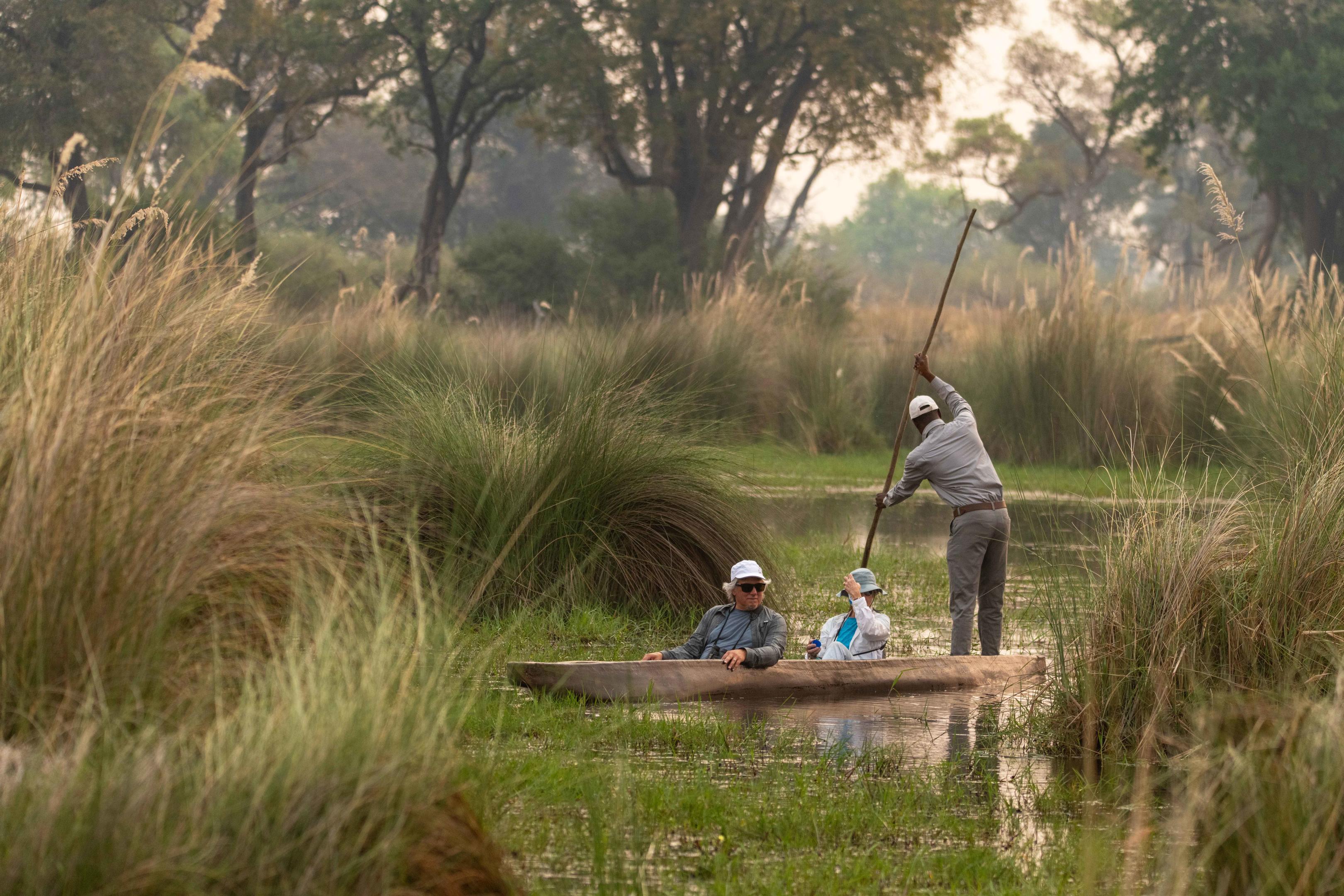 North Island Okavango thumbnail 8