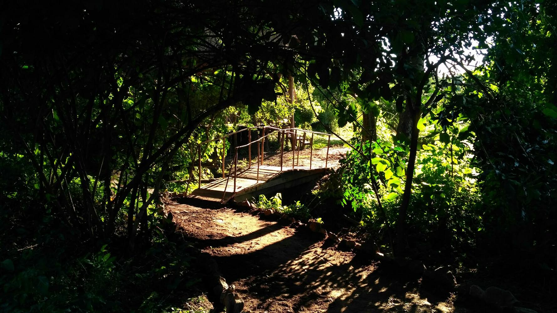 Bua River Lodge thumbnail 6